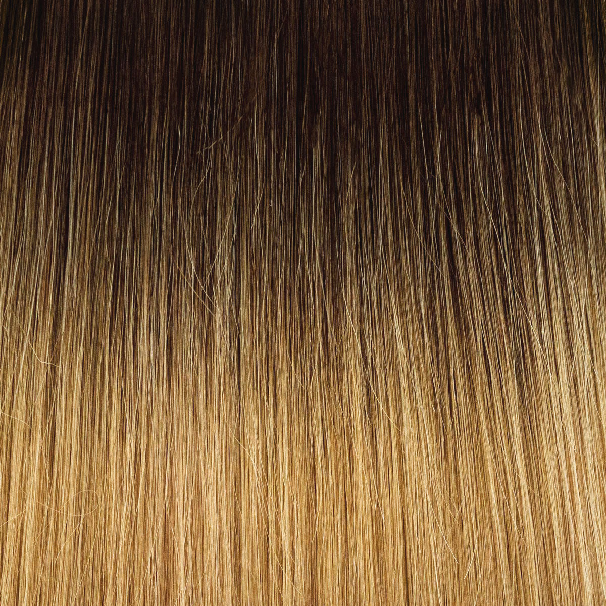 Genius Weft root #04/16