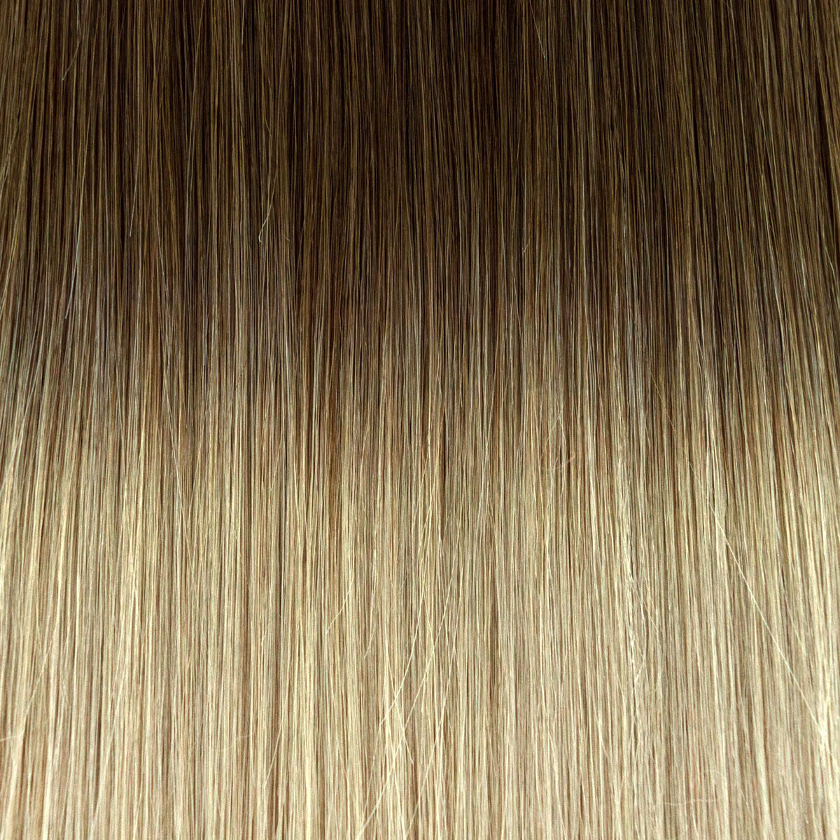 Bonding-Extensions ombré #8B/615